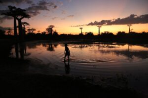 マダガスカル　夕暮れの水辺